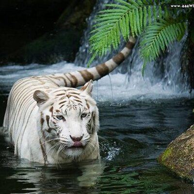 Profile Picture of Trevor D. Wendt (@TrevorDWendt) on Twitter