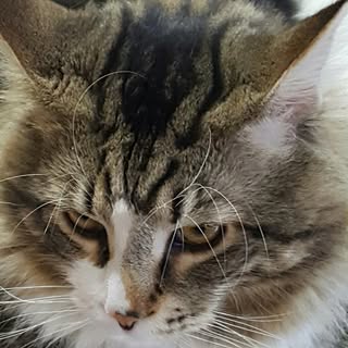 Profile Picture of Luciano Bartoli (@bartoliluciano) on Instagram