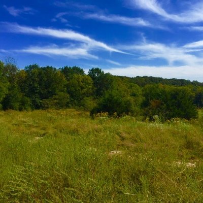 Profile Picture of Jami Wade (@waderoadmoto) on Twitter