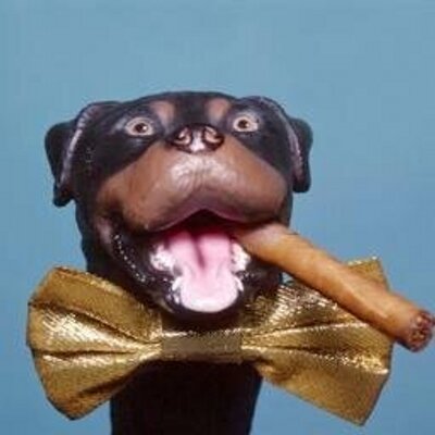 Profile Picture of Randy Faulk (@RandyF123) on Twitter