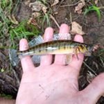 Profile Picture of Dennis Reilly First (@denny1st97) on Instagram