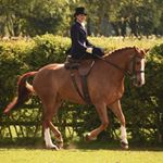 Profile Picture of Amanda Chatfield (@amanda.chatfield.50) on Instagram