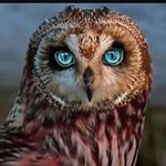 Profile Picture of Corrine Teigen (@cschmidt060206) on Instagram