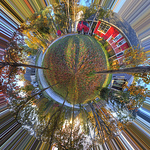 Profile Picture of Zach Bonnell (@Zach Bonnell) on Flickr