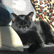 Profile Picture of Timothy Stokes (@timothystokes822) on Youtube