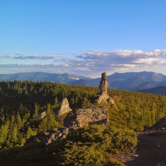 Profile Picture of Stefan Cristea (@stefancristea) on Poshmark