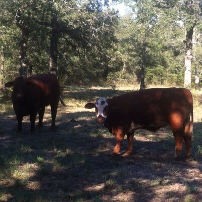 Profile Picture of Chad Horner (@feedman74) on Twitter