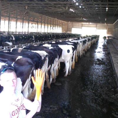 Profile Picture of Chris Hartle (@@thetruehartle) on Twitter