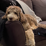 Profile Picture of Rachel Osborne (@rachelosborne1164) on Youtube