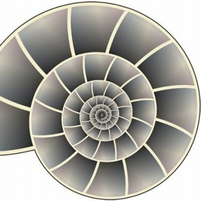 Profile Picture of Brendan Mannion (@bpmannion) on Twitter