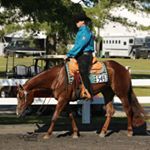 Profile Picture of Scott Kohlmann (@knohlmann83) on Instagram