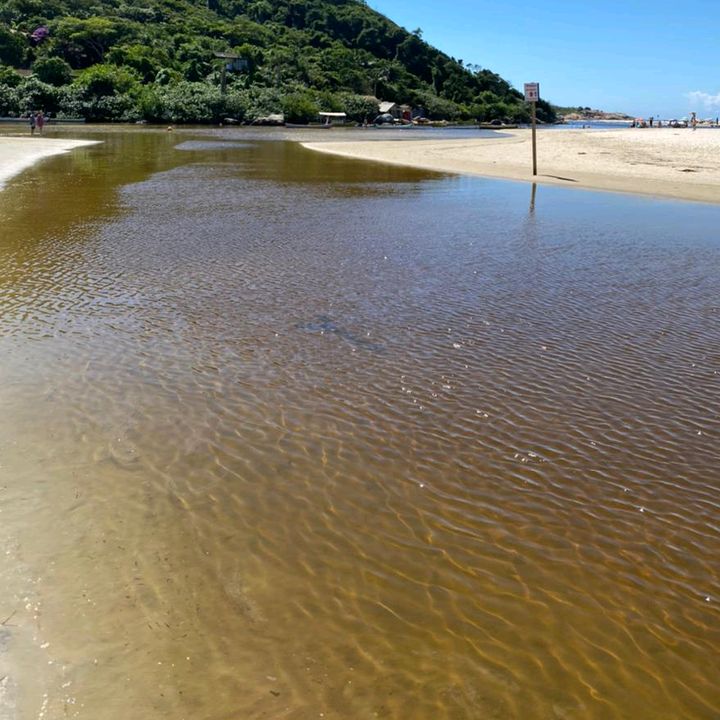 Claudete Brena - Tiktok Profile Picture of Claudete Brena (@claudetebrena1) on Tiktok