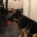 Profile Picture of Stevie Greer (@steviegreer2002) on Instagram