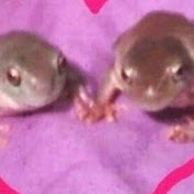 Profile Picture of George Stevens (@georgestevens4490) on Youtube