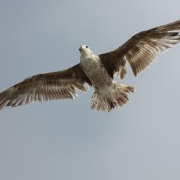 Profile Picture of Steve Muise (@stevemuise1) on Twitter