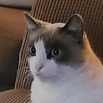 Profile Picture of Jonathan Hollingsworth (@jdh_42) on Instagram