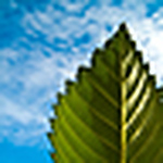 Profile Picture of Bogdan (@level five) on Flickr