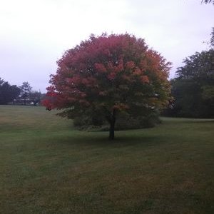 Profile Picture of Aaron James Abney (@AaronJamesAbney) on Twitter