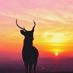 Profile Picture of Autumn Osborne (@luv_autumn_forever) on Instagram