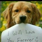 Profile Picture of Ada Arce (@ada.arce.980) on Instagram