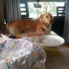 Profile Picture of Giuseppe Pullara (@giuseppe.pullara) on Tiktok