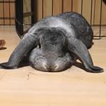 Profile Picture of Evan Dusthimer (@dusty_explores) on Instagram