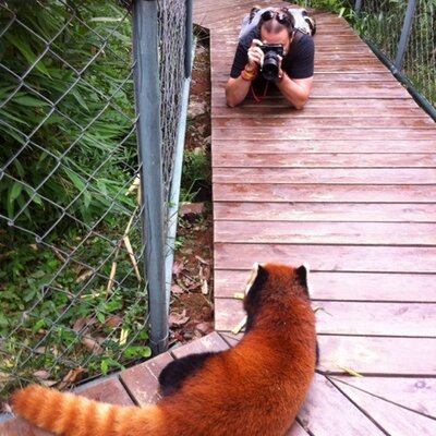 Profile Picture of KenFordePhotography (@KenFordePhoto) on Twitter