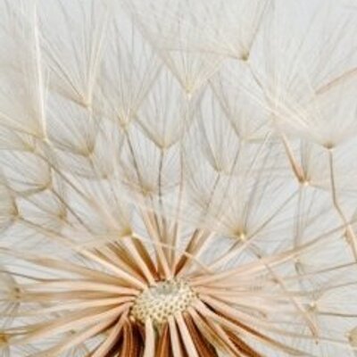 Profile Picture of Hanna Klein Bittner (@HannaJoyB) on Twitter