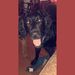 Profile Picture of Jacob Epps (@jacobepps) on Pinterest