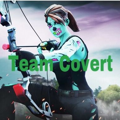 Profile Picture of Team Covert (@team_covert1) on Tiktok
