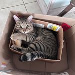 Profile Picture of Jamie Keyser (@jamiekeyser_) on Instagram