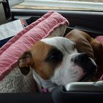 Profile Picture of Jeffrey S. Latham (@jeffrey_latham) on Instagram