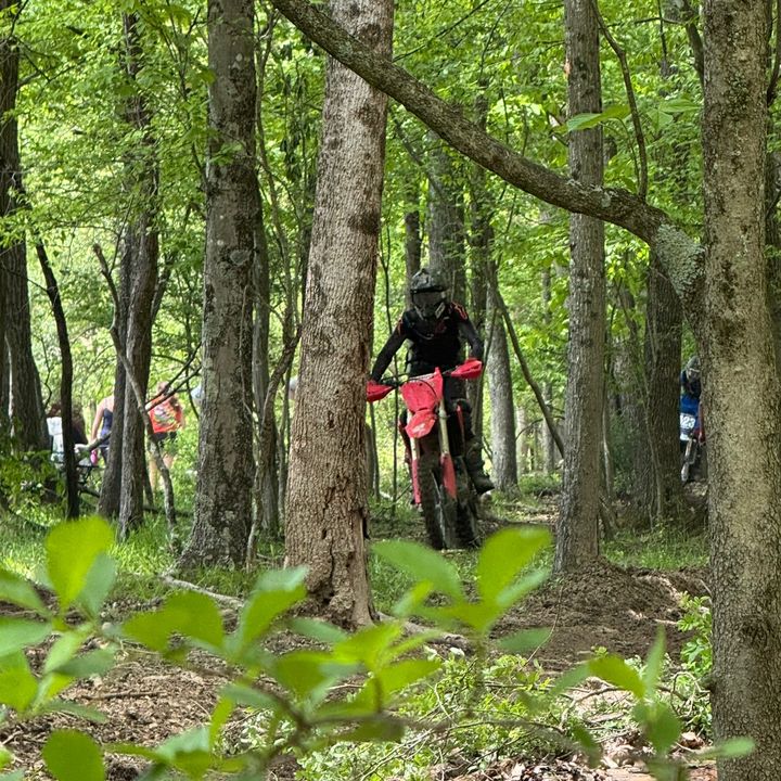 Profile Picture of Bradley Greenawalt (@bradleygreenawalt1) on Tiktok