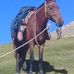 Profile Picture of Pablo Mirabal (@pablo.mirabal.1650) on Facebook