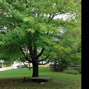 Profile Picture of Isaac Dayan (@isaacdayan3823) on Youtube