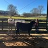 Profile Picture of Jessup_Corley (@jessup.corley) on Tiktok