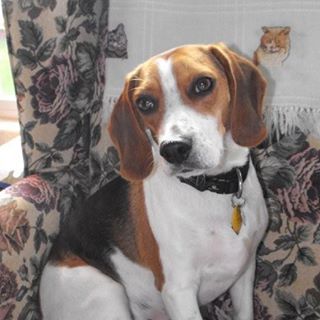 Profile Picture of Bob Mundt (@bob.mundt.90) on Facebook