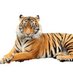 Profile Picture of West Friendship ES (@hcpss_wfes) on Twitter