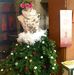 Profile Picture of Nancy Carpentier (@nancy.carpentier.7503) on Facebook