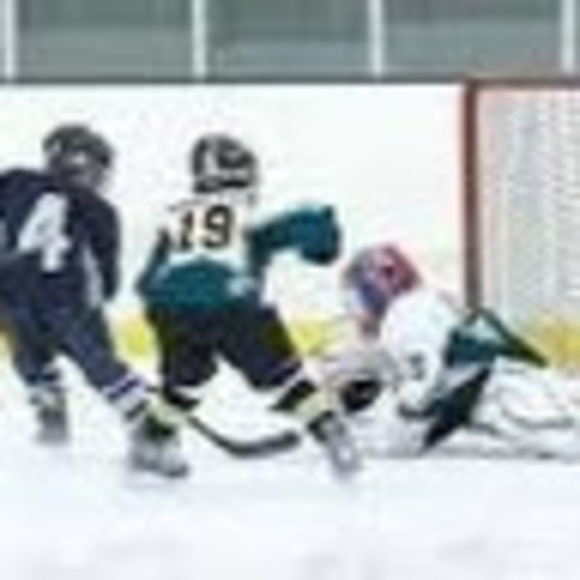 Profile Picture of Brandon Golub (@goalieg35) on Poshmark