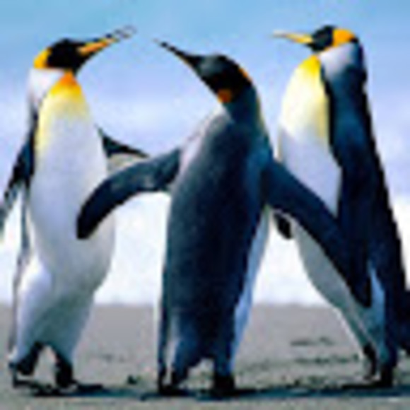 Profile Picture of Joe Hilby (@jvhilbs) on Poshmark