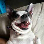 Profile Picture of Becky Lee Bryant (@becky.leeb) on Instagram