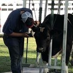 Profile Picture of Jacob Primm (@jacobprimm5) on Instagram