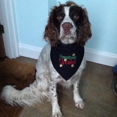 Profile Picture of Lynn Trussell (@Truffle_lakes) on Twitter