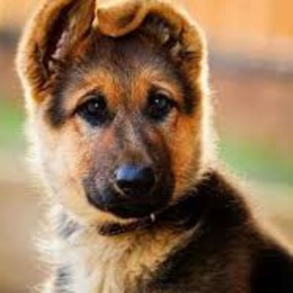 Noah Bradley - Poshmark Profile Picture of Noah Bradley (@noah_bradley) on Poshmark