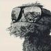 Profile Picture of Jerome Fitzgerald (@jerome8330) on Pinterest