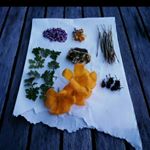 Profile Picture of David Noel Kubitza (@kobolt_kubitza) on Instagram