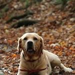 Profile Picture of David Dutton (@david.dutton.714) on Instagram