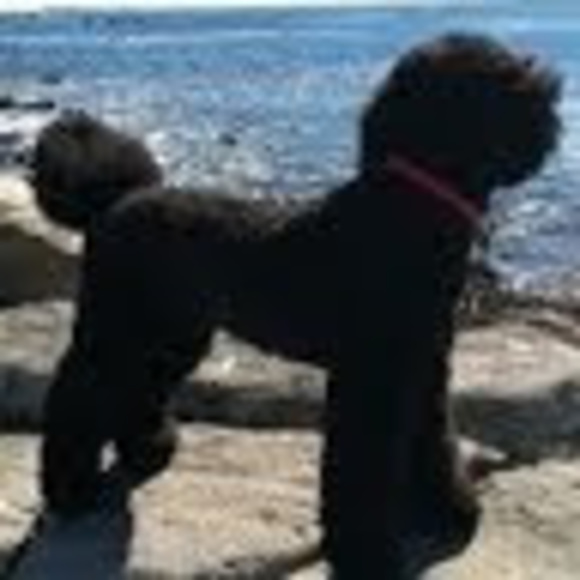 L m fenn vermeulen Vermeulen - Poshmark Profile Picture of L m fenn vermeulen Vermeulen (@lucindaver) on Poshmark