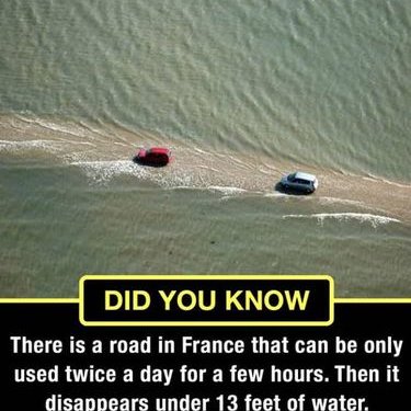 Profile Picture of Benjamin Zola Chollom (@ChollomZola) on Twitter